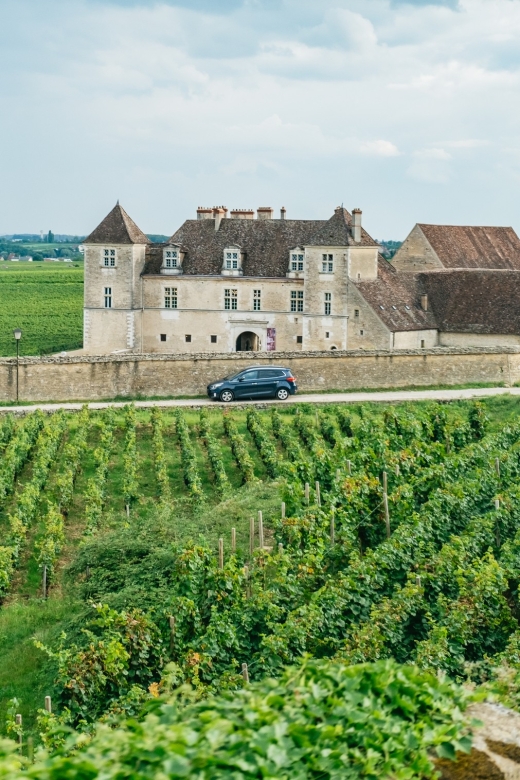 From Beaune: Burgundy Day Trip with 14 Wine Tastings - From Beaune Tourist Office to a small-group Burgundy day