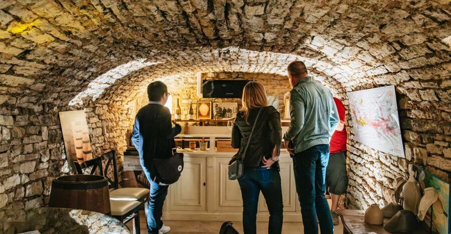From Beaune: Burgundy Day Trip with 14 Wine Tastings - The first domain near Beaune: where Village, 1er Cru, and Grand Cru meet your palate