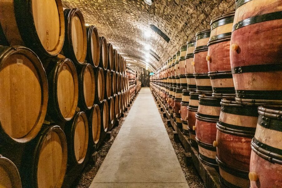 From Beaune: Burgundy Day Trip with 14 Wine Tastings - Clos de Vougeot and the Route des Grands Crus, short stops with big context