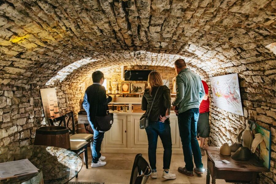 From Beaune: Burgundy Day Trip with 14 Wine Tastings - Chambolle-Musigny finale: a shop tasting that ties the day together