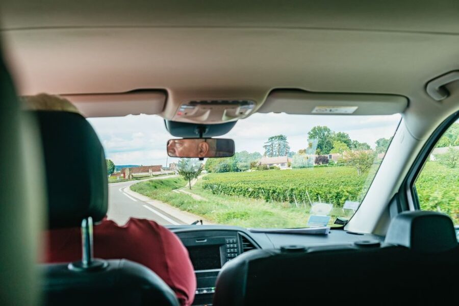 From Beaune: Burgundy Day Trip with 14 Wine Tastings - How many wines you really taste, and how to pace it