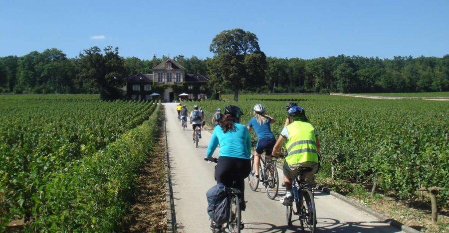 From Beaune: Full-Day Bicycle and Wine Tour in Burgundy - Setting Off From Beaune, Then Into the Côte de Beaune