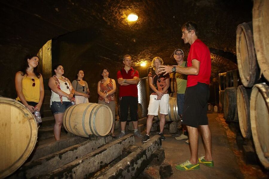 From Beaune: Full-Day Bicycle and Wine Tour in Burgundy - La Rochepot Castle Stop, and the Medieval Feel of Burgundy