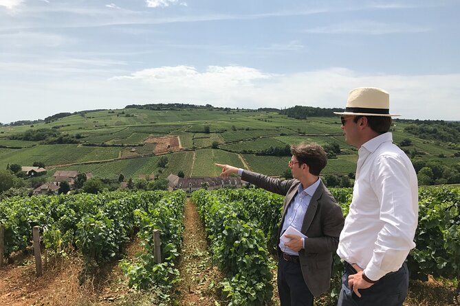From Beaune: Full day the most of Burgundy, with lunch - Key Things You’ll Notice on This Burgundy Tour