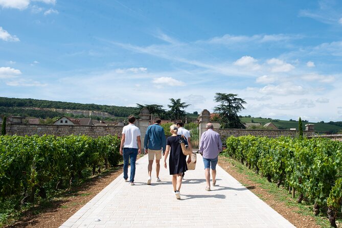 From Beaune: Full day the most of Burgundy, with lunch - Getting Oriented Fast at the Beaune Meeting Point