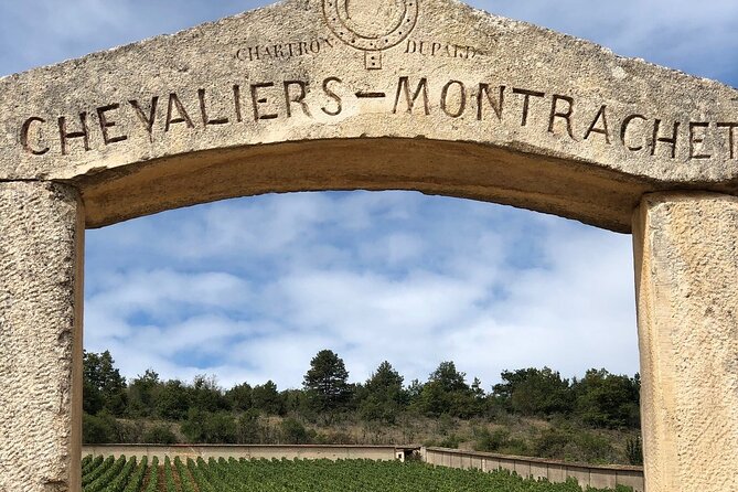 From Beaune: Full day the most of Burgundy, with lunch - Meursault Family Winery Visit: From Vineyard to Your Glass