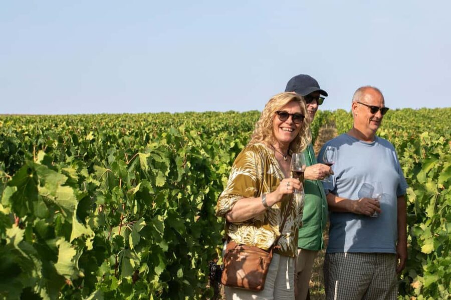 From Bordeaux: Afternoon Saint-Emilion Wine Tasting & snack - The Grand Cru Classé chateau visit: the main event you can’t fake