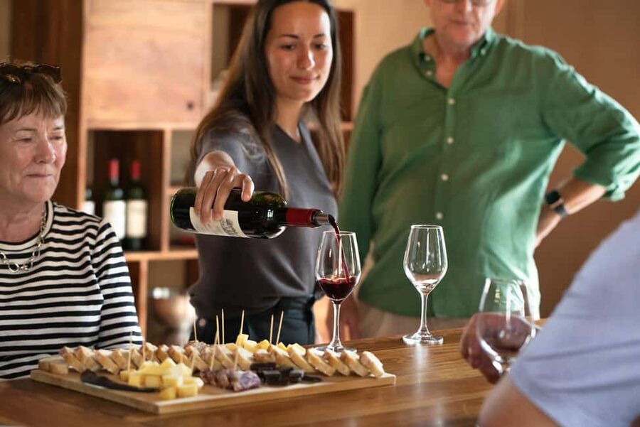From Bordeaux: Afternoon Saint-Emilion Wine Tasting & snack - The tasting class and 3 to 4 Saint-Emilion wines in context