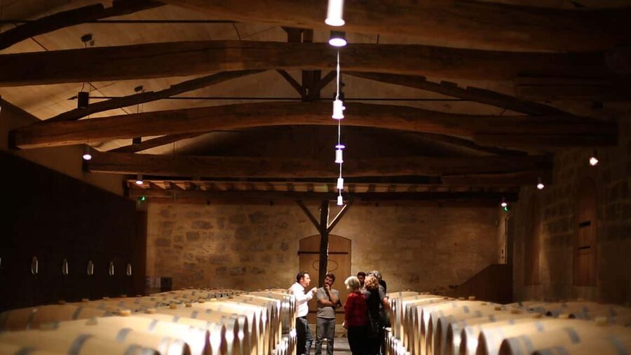 From Bordeaux: Afternoon Saint-Emilion Wine Tasting & snack - Who this afternoon Saint-Emilion tour is best for