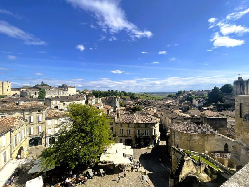 From Bordeaux: Afternoon Saint-Emilion Wine Tasting & snack - The van ride: comfortable logistics plus an early taste of Bordeaux context
