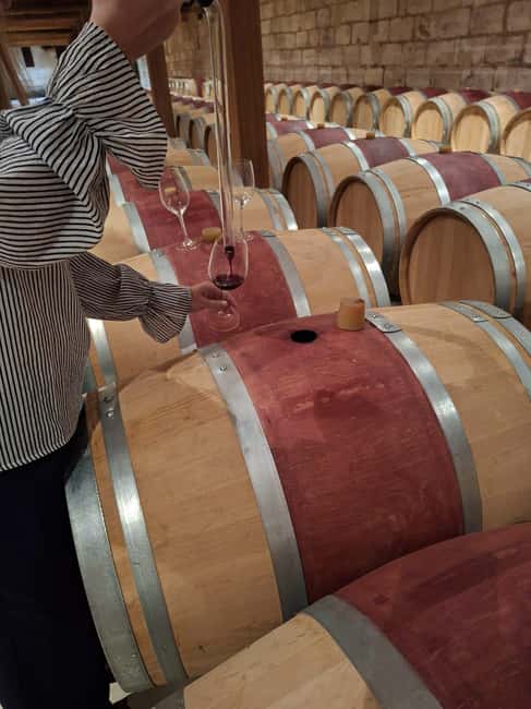 From Bordeaux: Afternoon Wine Tasting in the Medoc Region - Key things to know before you go