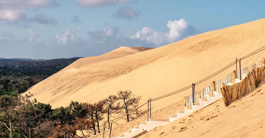 From Bordeaux: Arcachon Bay Full Day Tour and Oyster Lunch - Key highlights at a glance