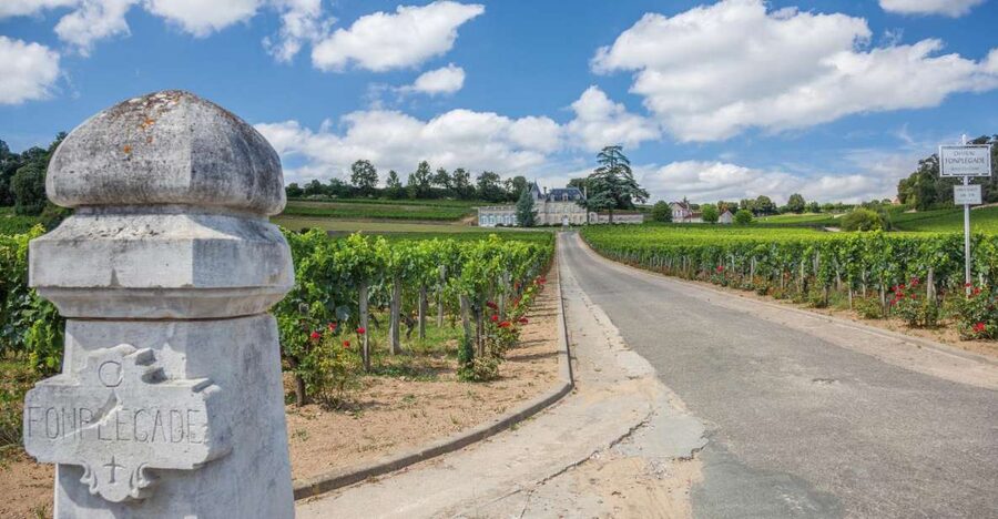 From Bordeaux: Full-Day St Emilion Wine Tasting Tour - Right Bank primer: why St-Emilion mostly tastes like Merlot