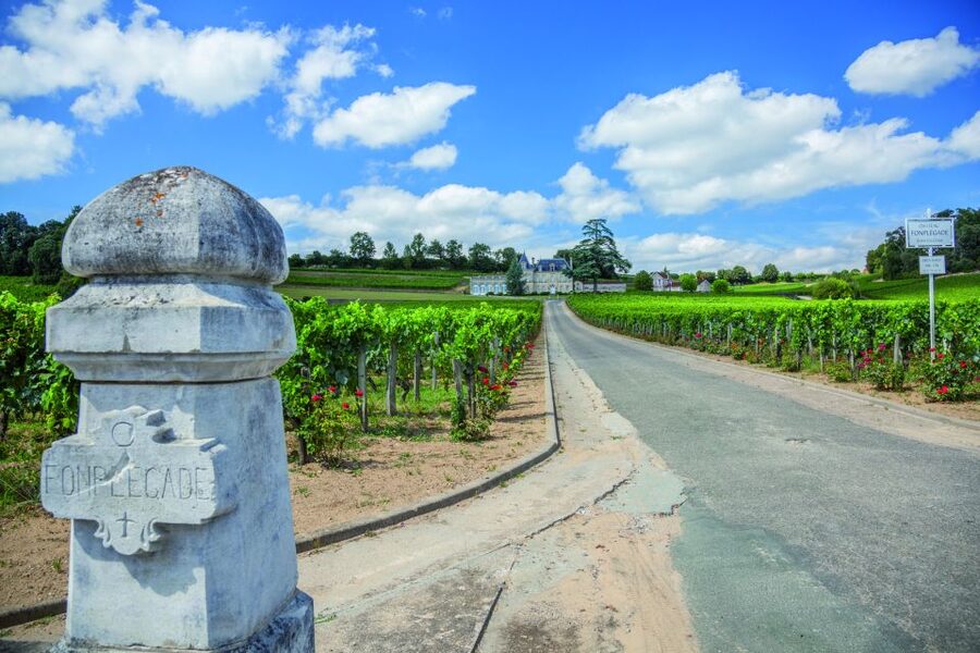 From Bordeaux: Full-Day St Emilion Wine Tasting Tour - Three chateaux, three different lessons
