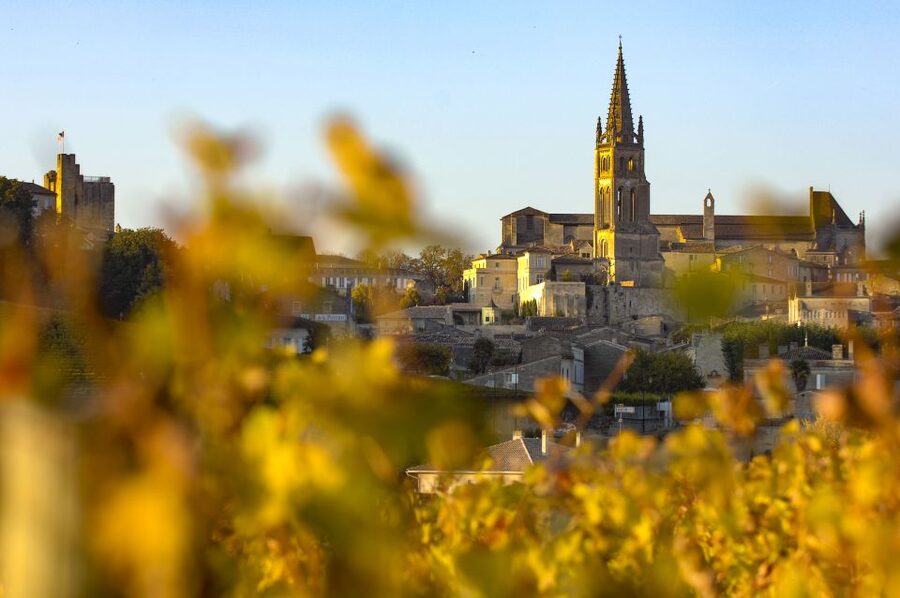From Bordeaux: Full-Day St Emilion Wine Tasting Tour - How the tastings are guided, and how to get more from the glass