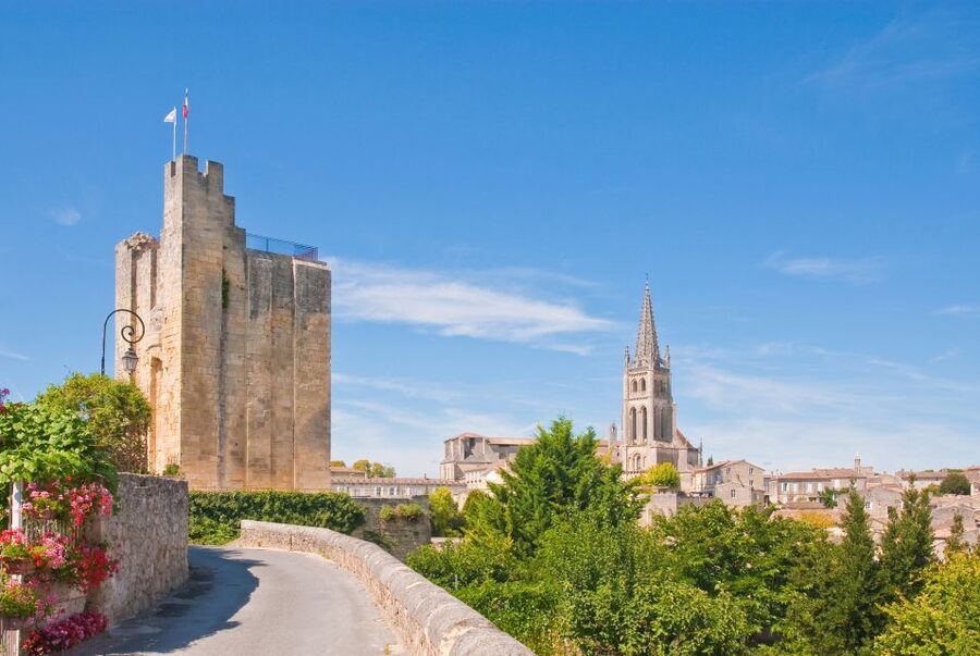From Bordeaux: Full-Day St Emilion Wine Tasting Tour - Practical stuff to plan: shoes, IDs, and the no-snacks reality