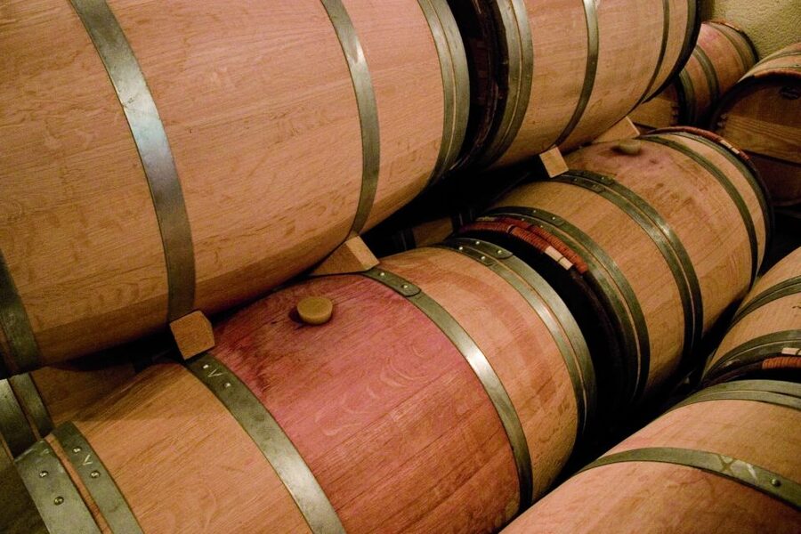 From Bordeaux: Full-Day St Emilion Wine Tasting Tour - Who this tour is best for