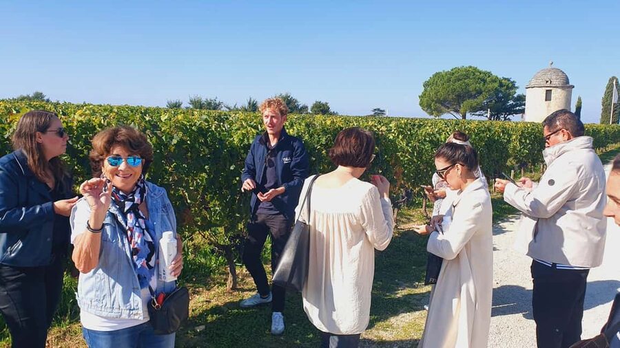 From Bordeaux: Half-Day Saint-Émilion Tour and Wine Tasting - Should you book this Saint-Émilion half-day tour?