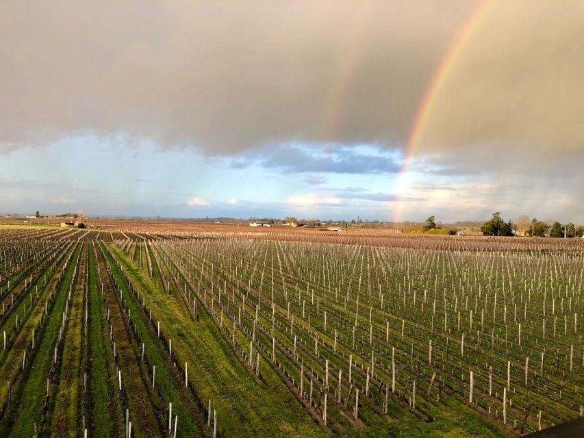 From Bordeaux: Half-Day Saint-Emilion Wine Tour - Key things that make this tour worth your time
