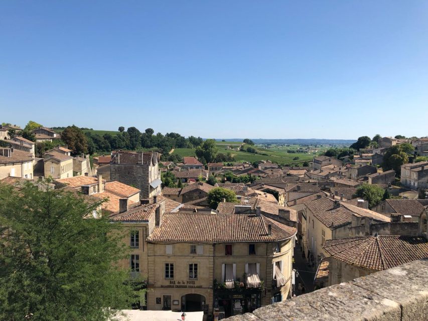 From Bordeaux: Half-Day Saint-Emilion Wine Tour - Visiting a family château and walking the wine world