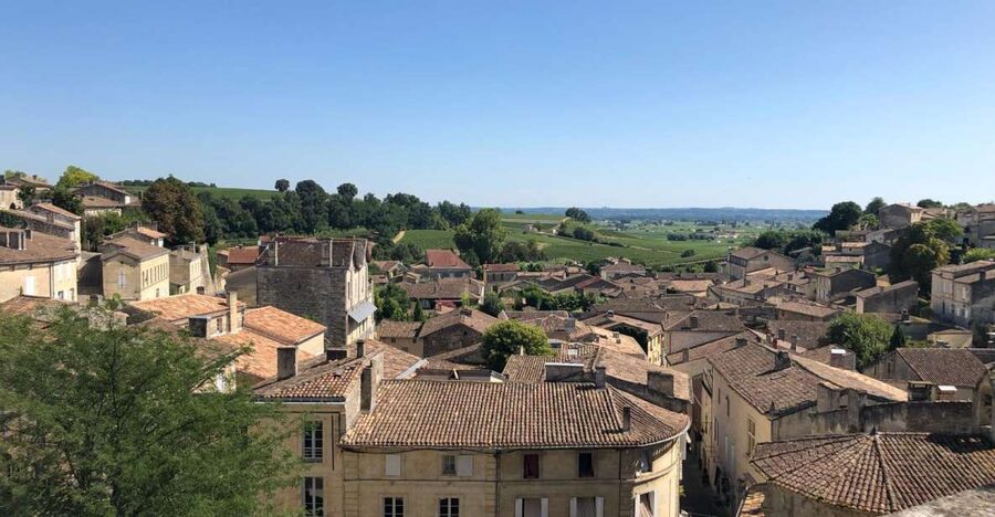 From Bordeaux: Half-Day Saint-Emilion Wine Tour - The van ride that sets up what you taste