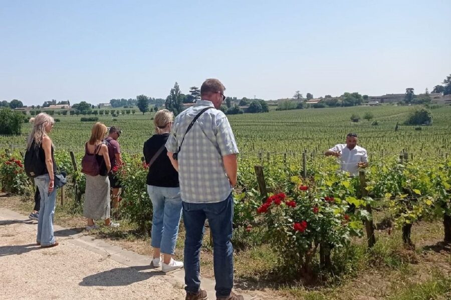 From Bordeaux: Saint-Emilion Guided Wine Tasting Tour - Saint-Émilion guided walk: Romanesque churches, steep lanes, and photo stops