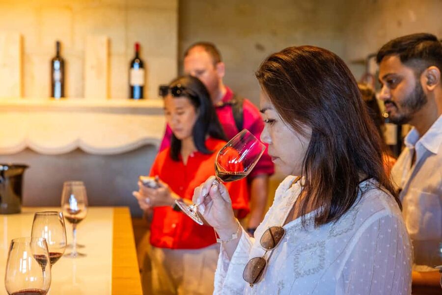 From Bordeaux: Saint-Emilion Guided Wine Tasting Tour - From Bordeaux in a brand new 8-seater mini van