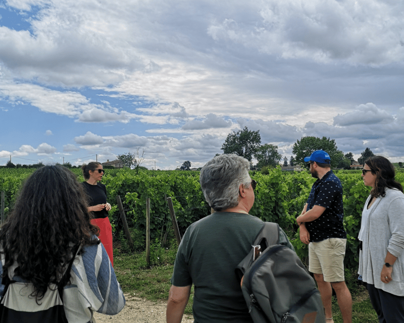 From Bordeaux: Saint-Émilion Half-Day Tour with Wine Tasting - Meeting at Cité du Vin and the van ride that sets the tone