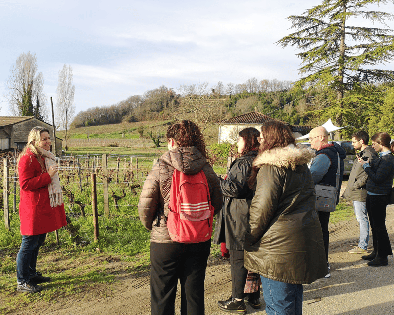 From Bordeaux: Saint-Émilion Half-Day Tour with Wine Tasting - Saint-Émilion guided walk: medieval monuments, narrow lanes, and viewpoints