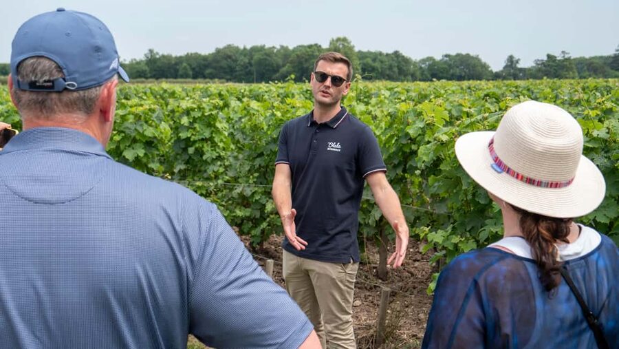 From Bordeaux: St-Emilion Day Tour with Tastings and Lunch - Lunch at a château: jars, Basque charcuterie, cheese, and wine