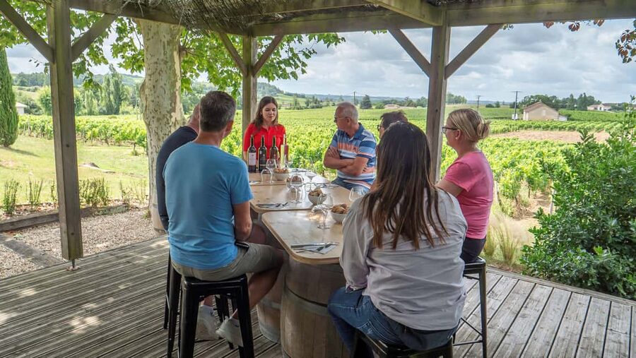 From Bordeaux: St-Emilion Day Tour with Tastings and Lunch - The van ride: small group, easy pacing, and comfy downtime