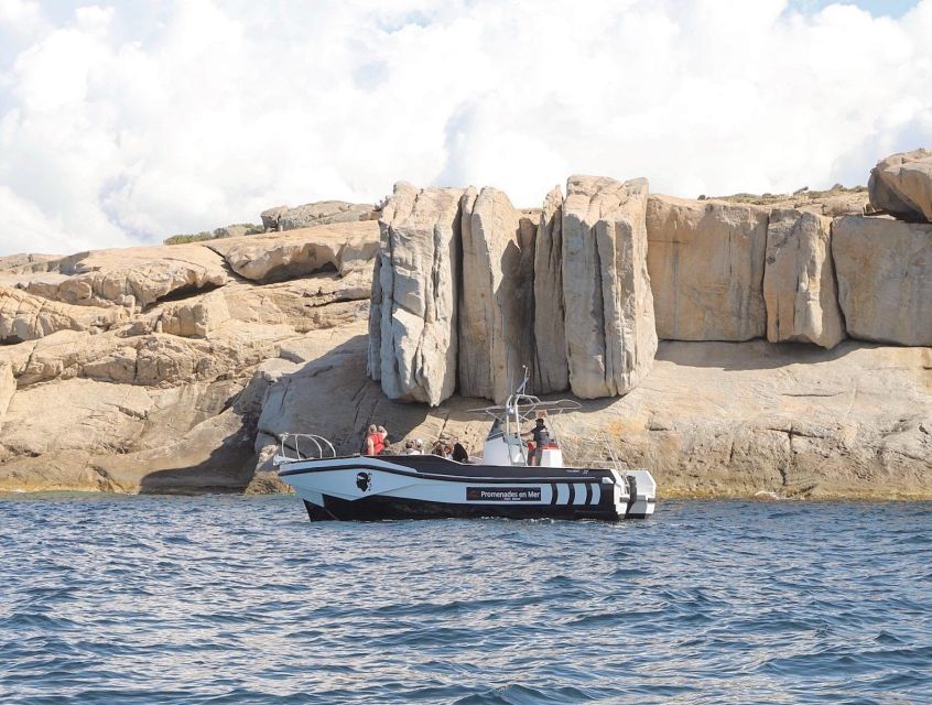 From Calvi: 2-Hour Sunset Cruise to Revellata Peninsula - Key Points To Know Before You Go