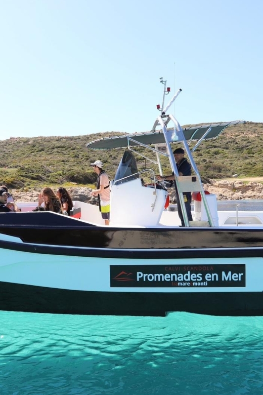 From Calvi: 2-Hour Sunset Cruise to Revellata Peninsula - Leaving Calvi at Sunset: The Part That Sets the Tone