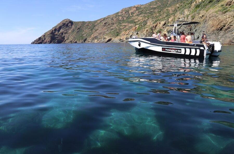 From Calvi: 2-Hour Sunset Cruise to Revellata Peninsula - The Alga Beach Swim Stop, Turquoise Water, and Real Comfort