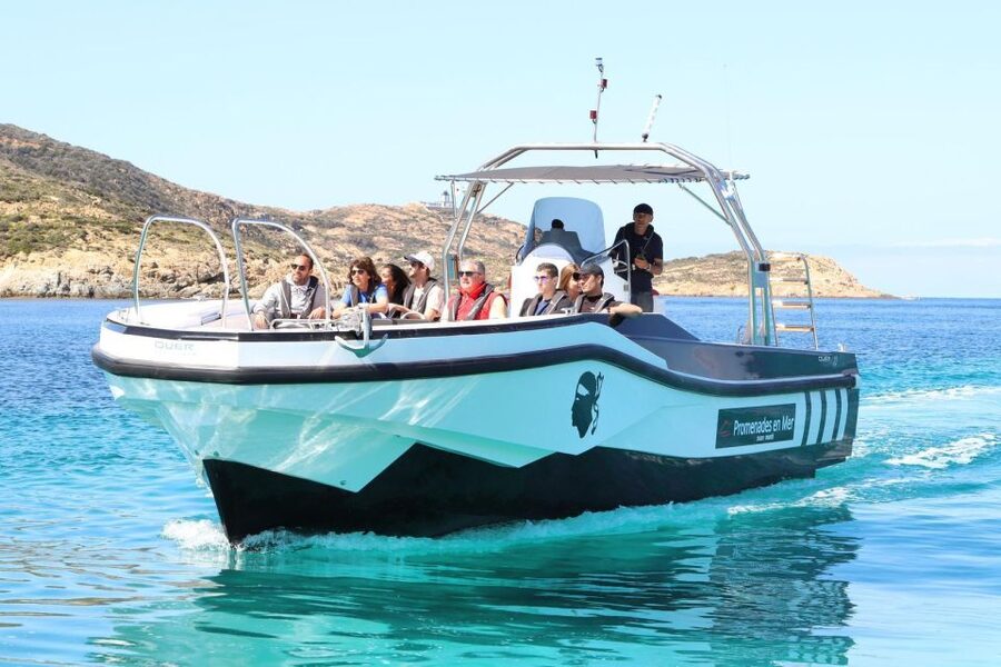 From Calvi: 2-Hour Sunset Cruise to Revellata Peninsula - Who This Cruise Suits Best