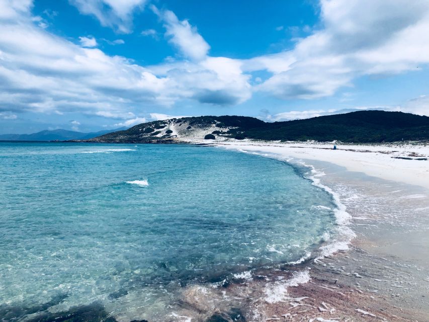 From Calvi: 4x4 Day Tour Mountain & Agriates' Saleccia Beach - Key highlights you should care about