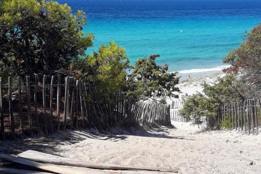 From Calvi: 4x4 Day Tour Mountain & Agriates' Saleccia Beach - Who should book this tour, and who should skip it
