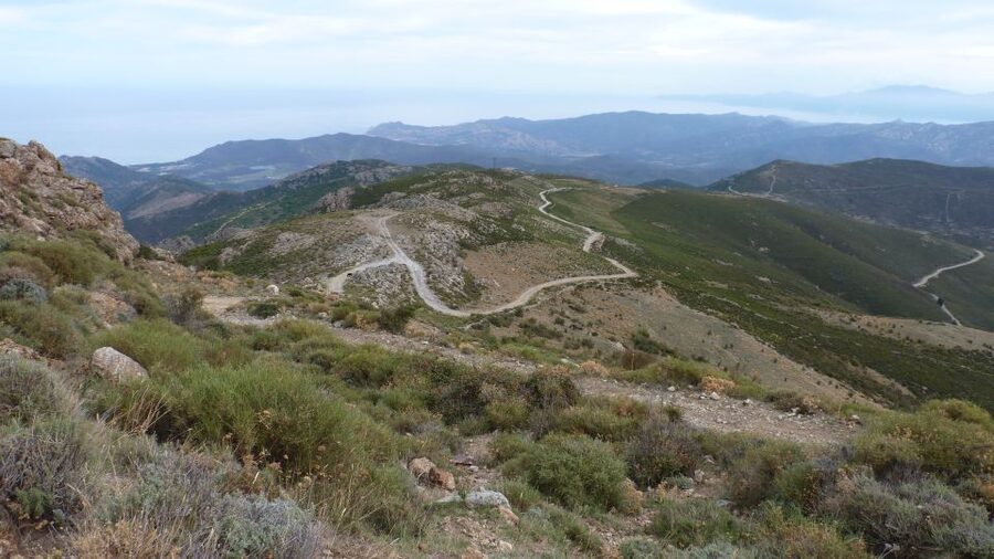 From Calvi: 4x4 Day Tour Mountain & Agriates' Saleccia Beach - Reginu Valley olive rows and the lunch stop you should plan for