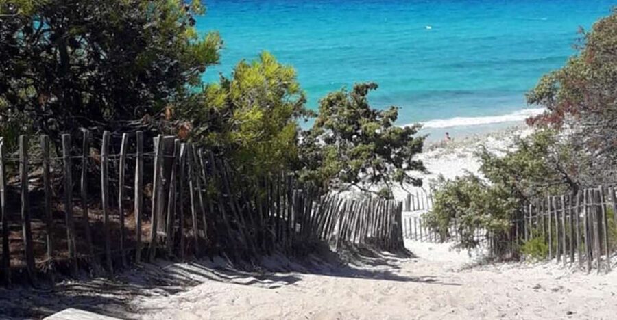 From Calvi: 4x4 Day Tour Mountain & Agriates' Saleccia Beach - Saleccia Beach in the Agriates Desert: 2 hours to swim and breathe