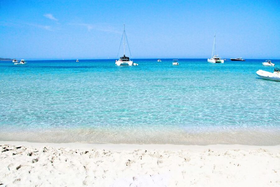 From Calvi: Agriate Guided Jeep Tour to Lotu and Saleccia - Quick Takeaways Before You Go