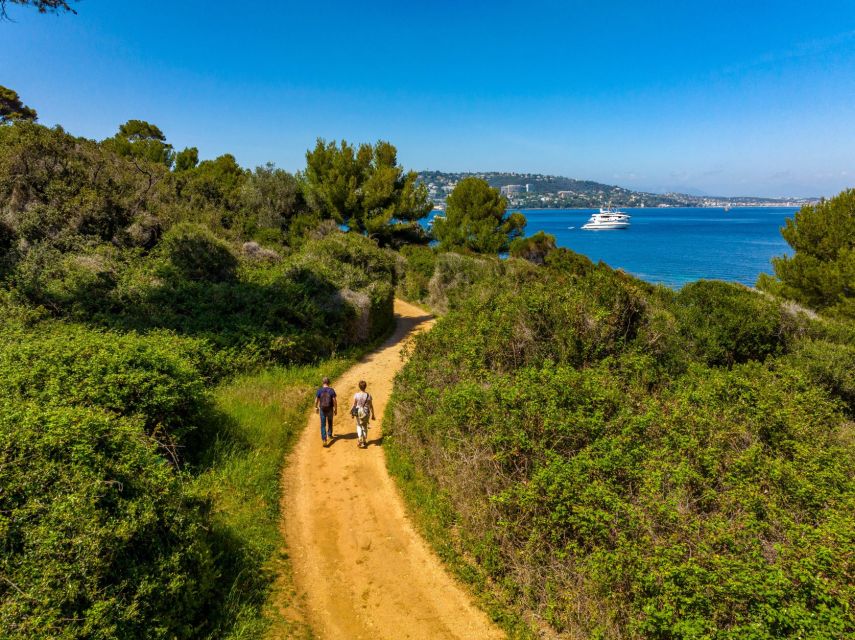 From Cannes: Round-Trip Ferry to Ste. Marguerite Island - Landing on Sainte-Marguerite: follow the trails, not the crowds