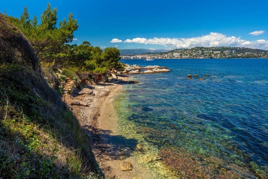 From Cannes: Round-Trip Ferry to Ste. Marguerite Island - Pointe de la Convention: unique plants, not just views