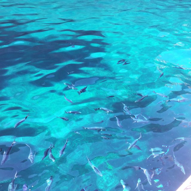 From Cargèse: Scandola Day Tour & Girolata Lunch Stop - Cap Senino, Osani, and the Calanques de Piana water time