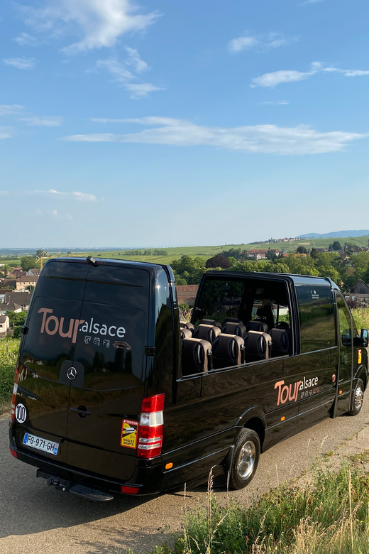 From Colmar: Alsace Medieval and Wine Tasting Day Tour - Price and Logistics: What You’re Paying For
