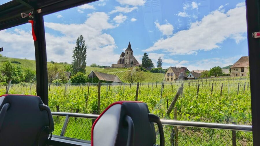 From Colmar: Alsace Medieval and Wine Tasting Day Tour - Haut-Koenigsbourg Castle: Skip-the-Line Entry Plus the 300-Step Reality