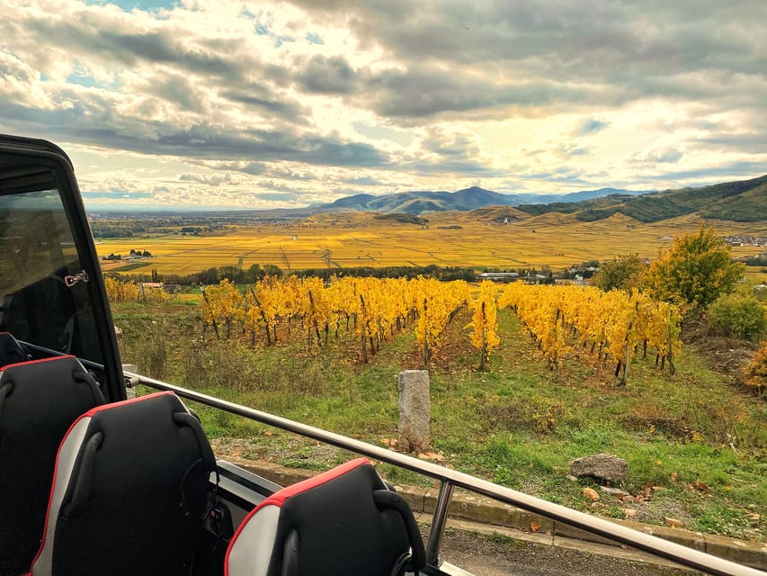 From Colmar: Alsace Medieval and Wine Tasting Day Tour - Audio Guide and Driving Style: How the Day Stays Organized
