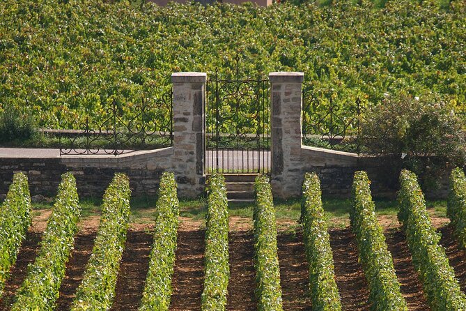 From Dijon: Full day the most of Burgundy with lunch - Pace and Comfort: When a Full Day Works Without Fatigue