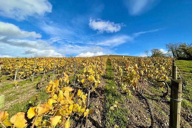 From Epernay: Champagne Small-Group tour with tastings & Lunch - Hautvillers and the Abbaye Saint-Pierre stop for Dom Pérignon context