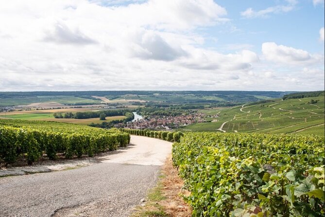 From Epernay: Champagne Small-Group tour with tastings & Lunch - Your guide is half the deal, and the reviews back that up