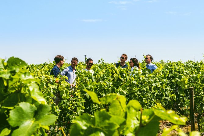 From Epernay: Champagne Small-Group tour with tastings & Lunch - Small-group size and how it changes the day
